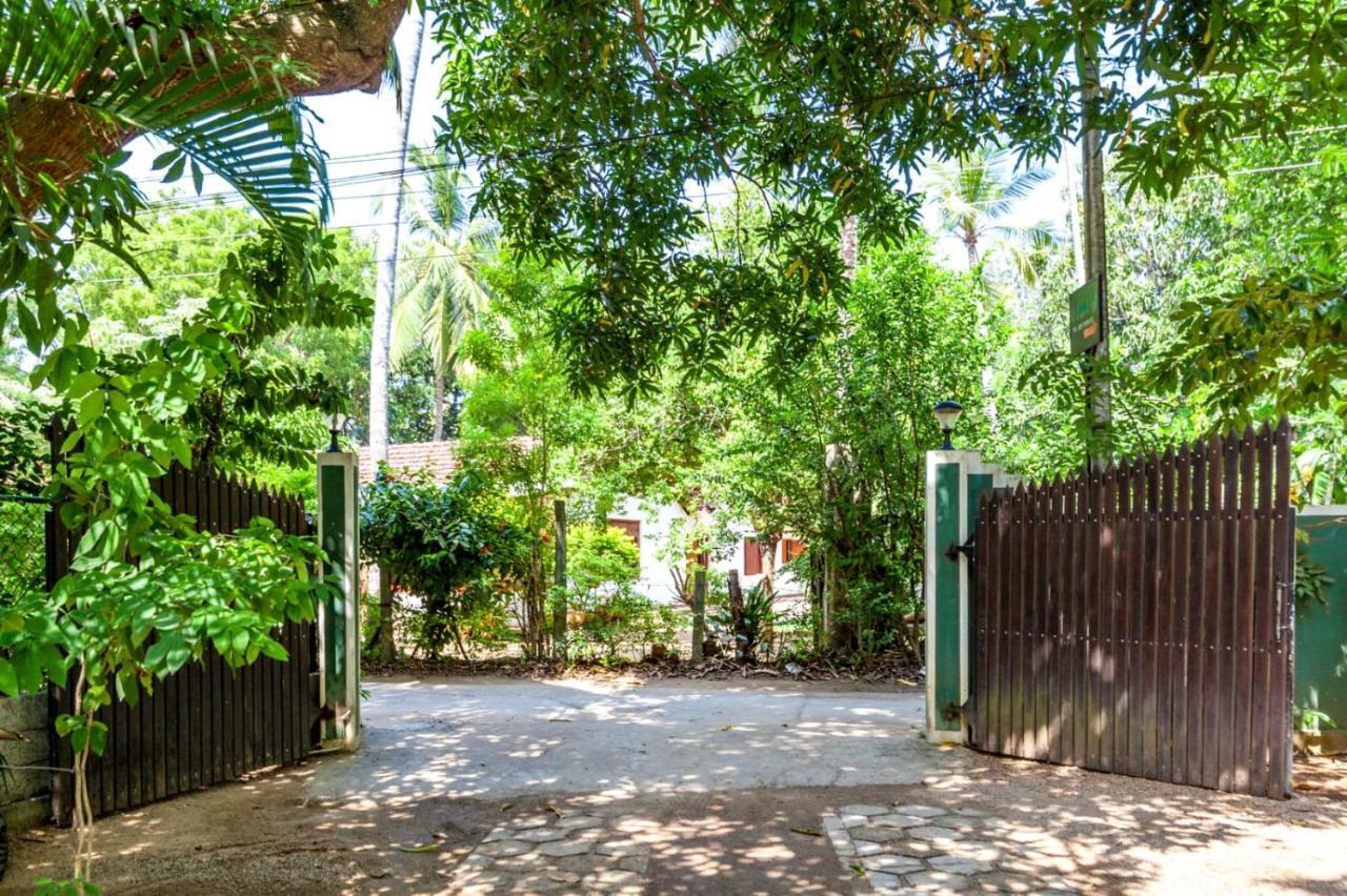 Julia Safari Inn Тисамахарама Екстериор снимка